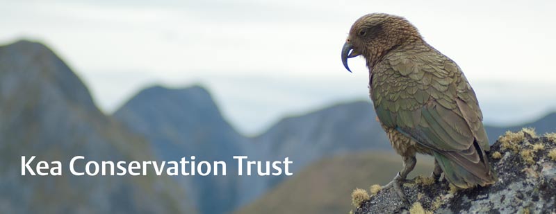 Kea Conservation Trust